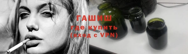 стаф Алзамай