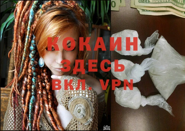 винт Алексин
