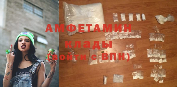 стаф Алзамай