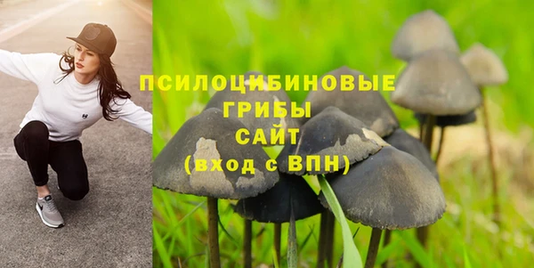 винт Алексин