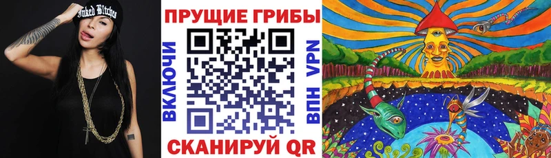 Галлюциногенные грибы Magic Shrooms Ядрин